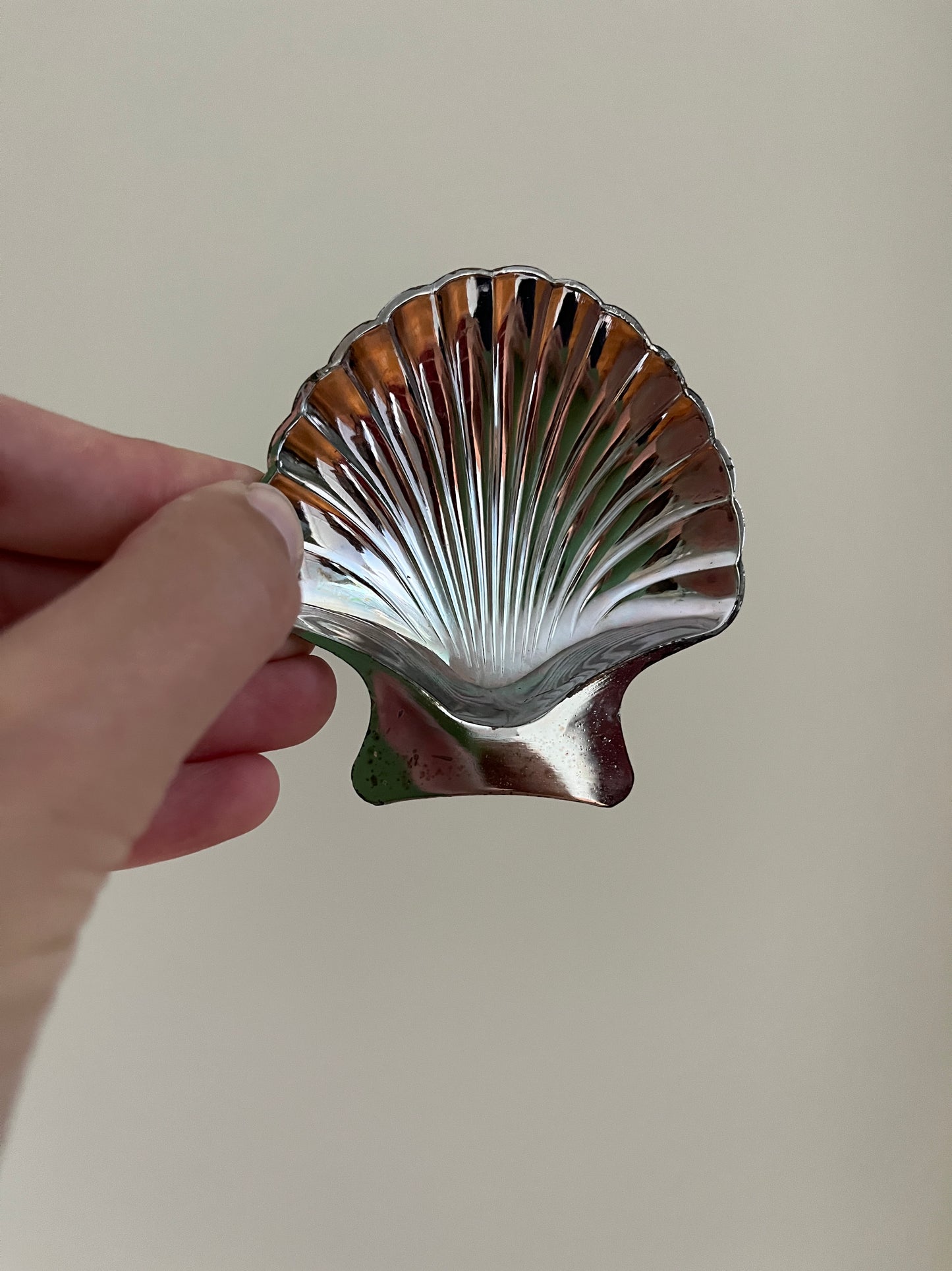(4) Scallop Caviar/Trinket Dishes
