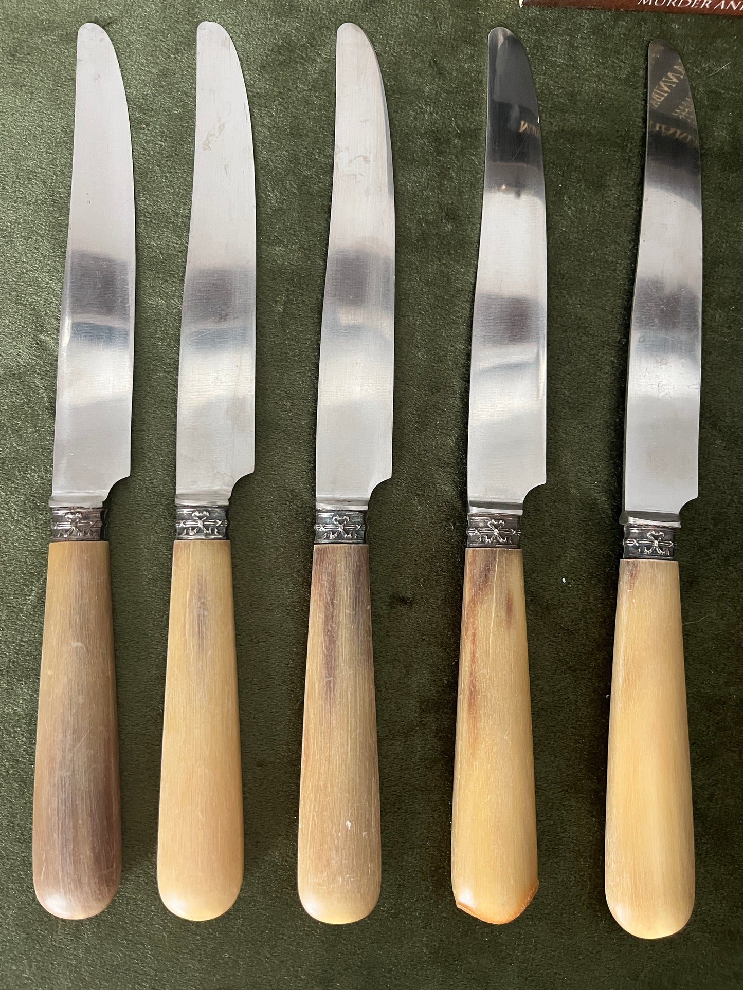 Vintage Stainless Steel French Knife Set With Horn Handles