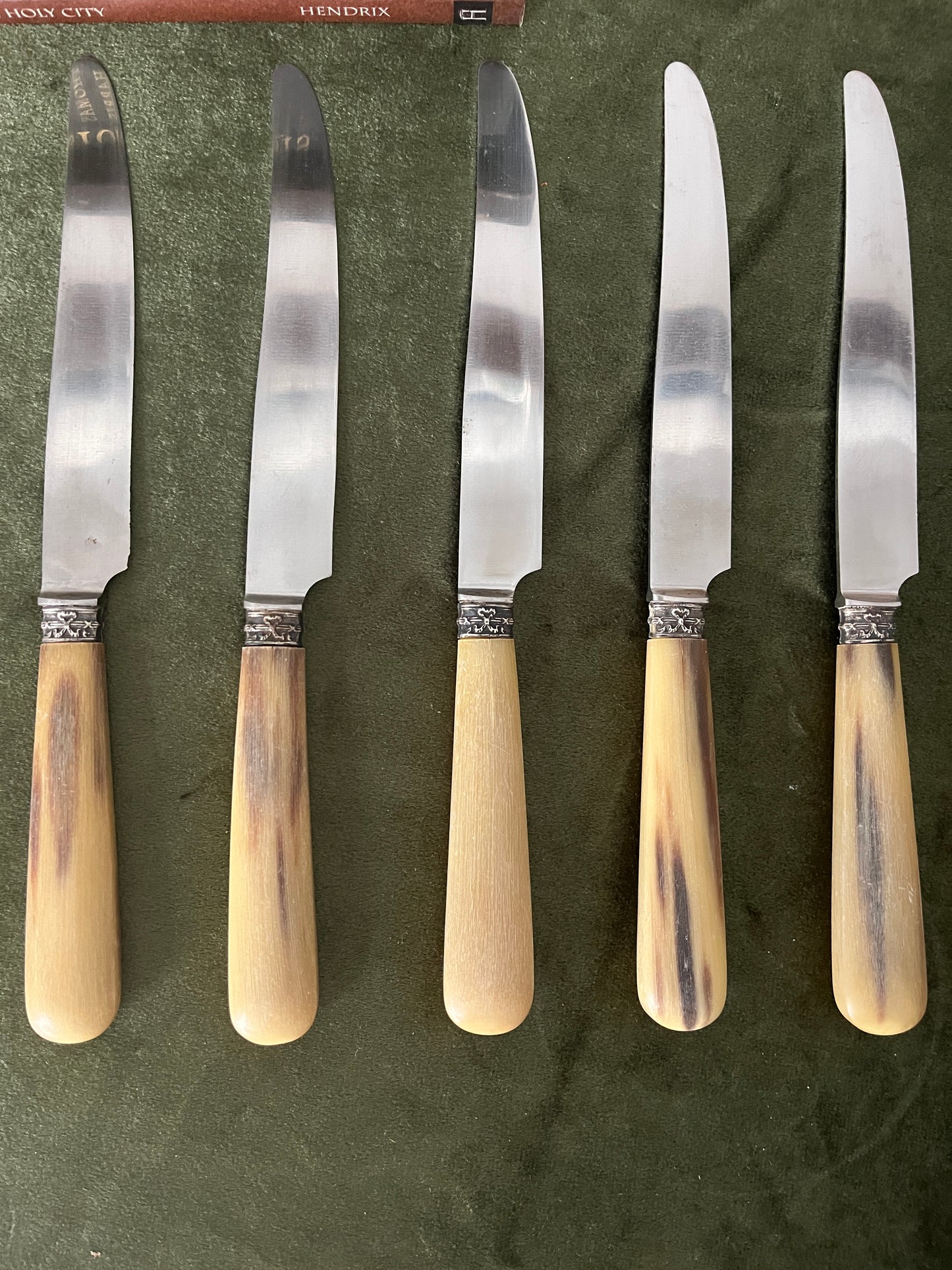 Vintage Stainless Steel French Knife Set With Horn Handles