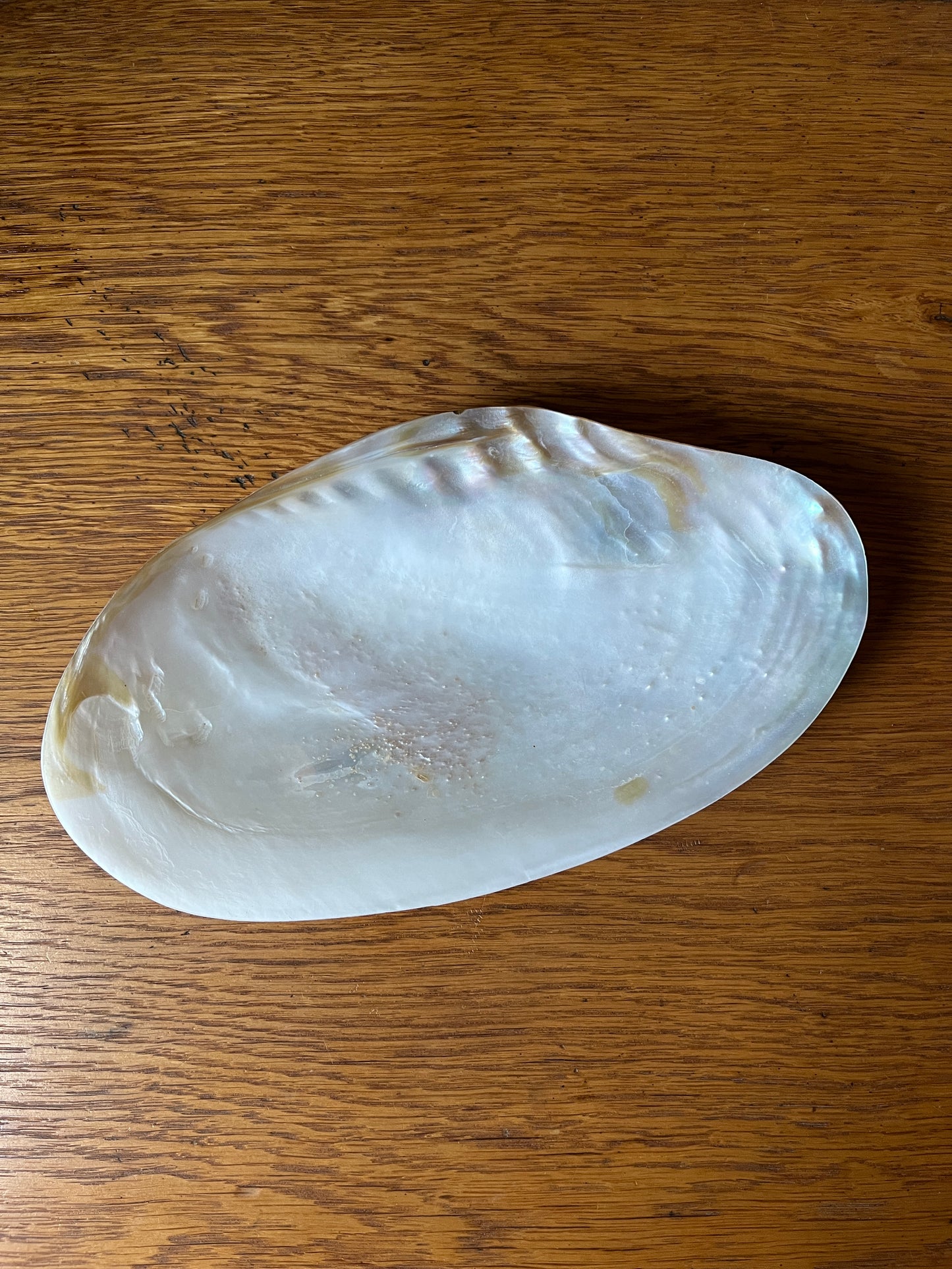 Vintage Mother of Pearl Trinket Dish