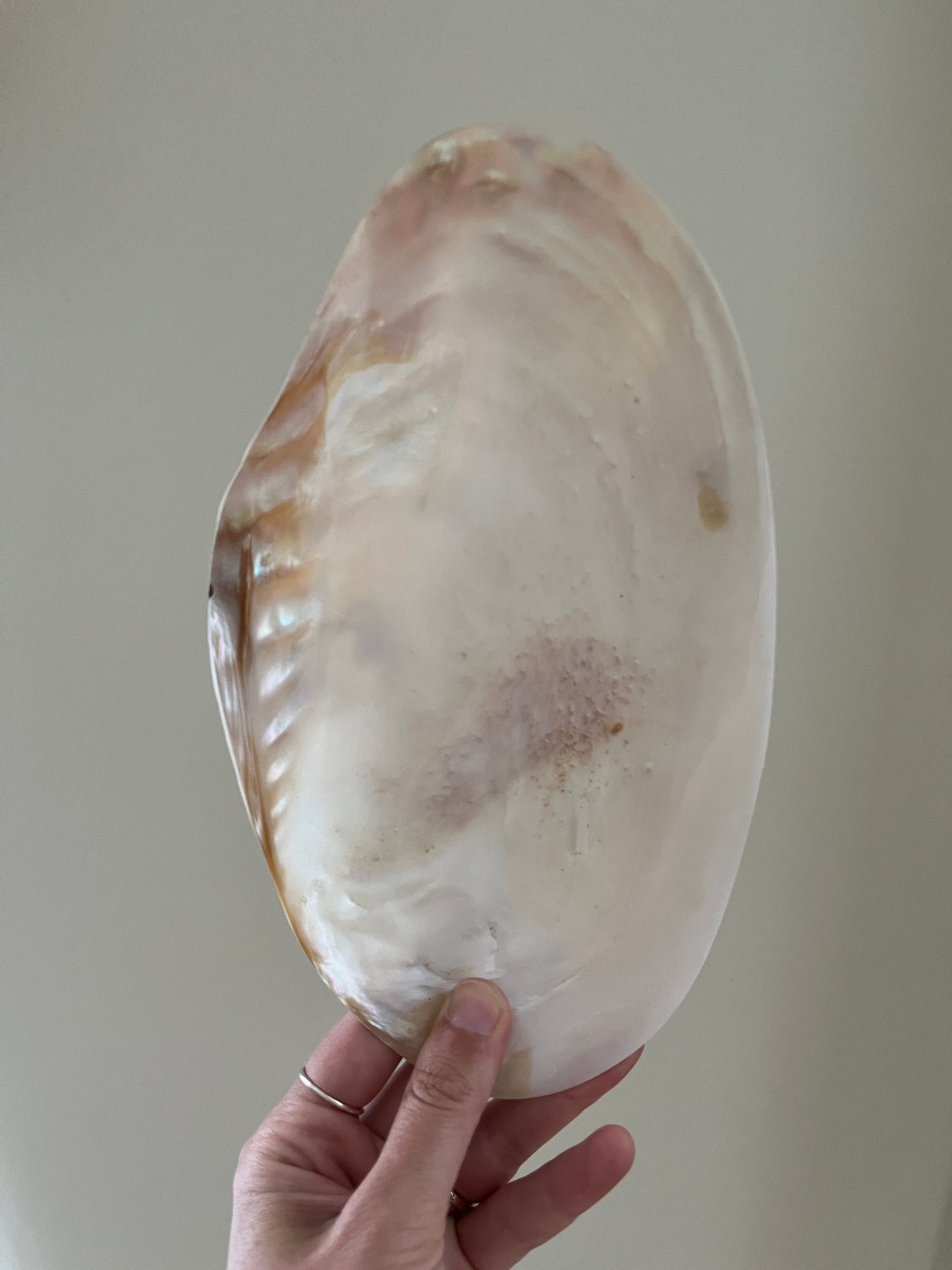 Vintage Mother of Pearl Trinket Dish